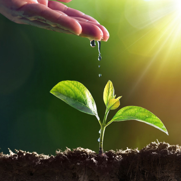 Agriculture Products